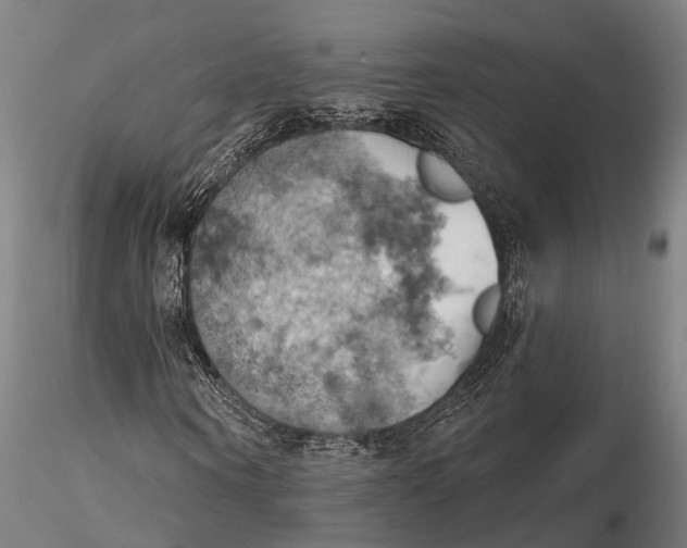 X0000115590866200912011501
