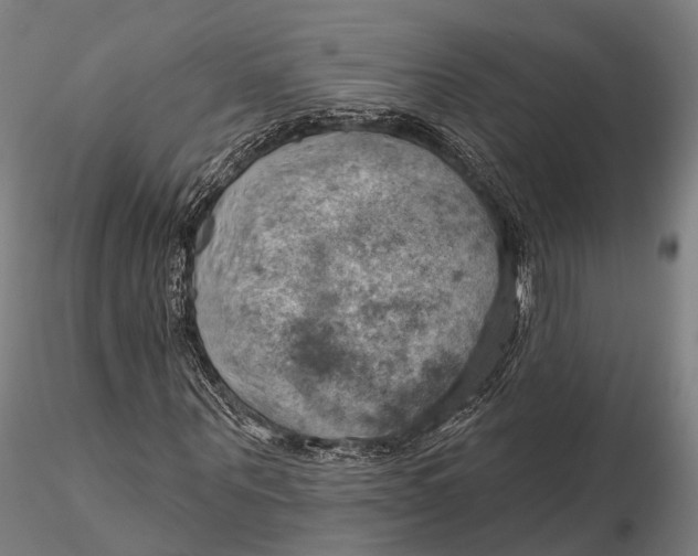 X0000115590867200912011501