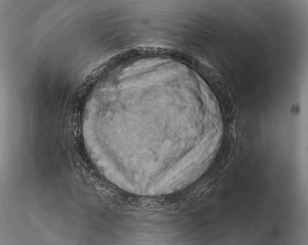 X0000115590870200912011501