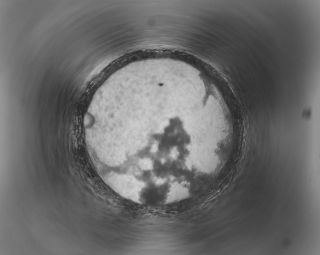 X0000115590871200912011501