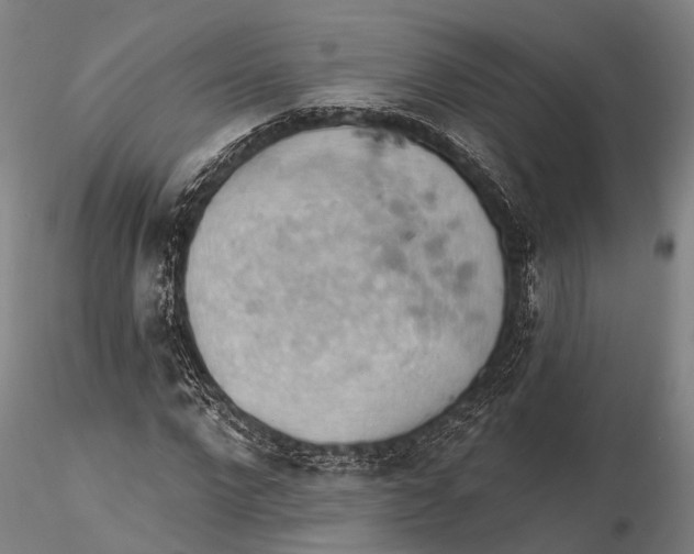 X0000115590872200912011501