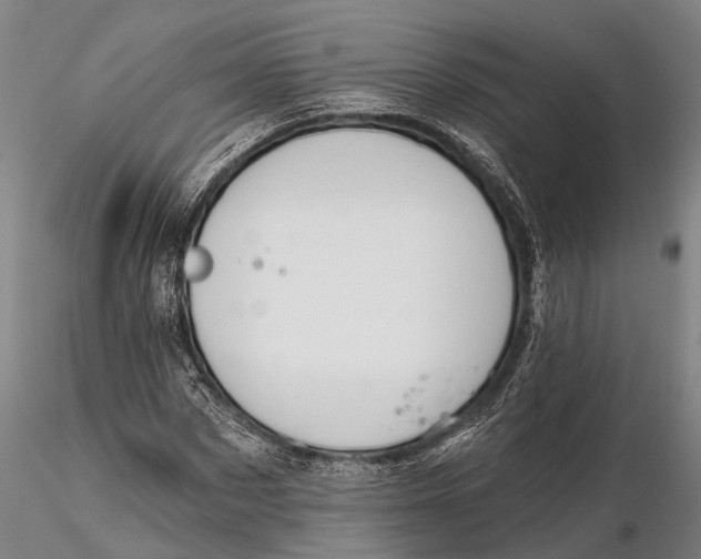 X0000115590873200912011501
