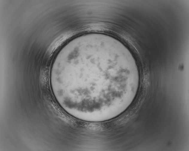 X0000115590874200912011501