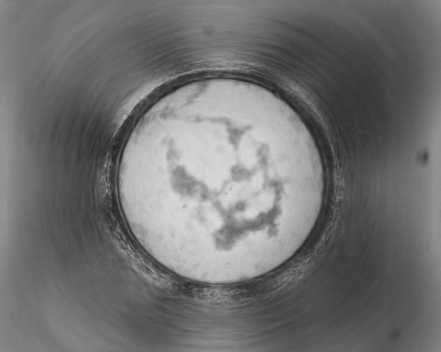 X0000115590875200912011501
