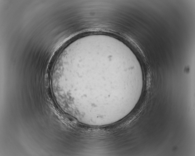 X0000115590876200912011501