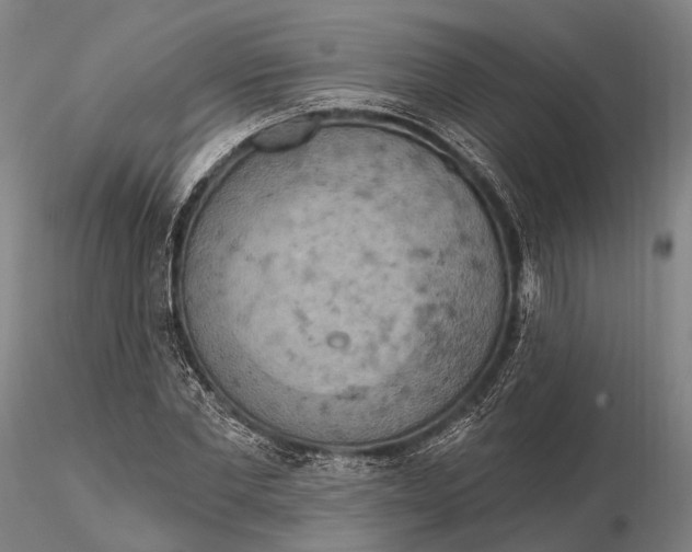 X0000115590877200912011501