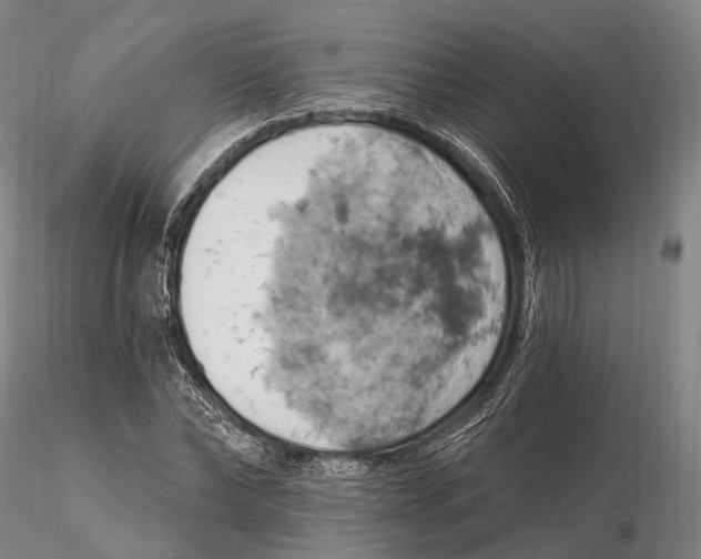 X0000115590878200912011500