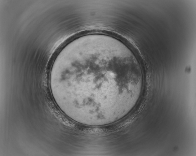 X0000115590879200912011500