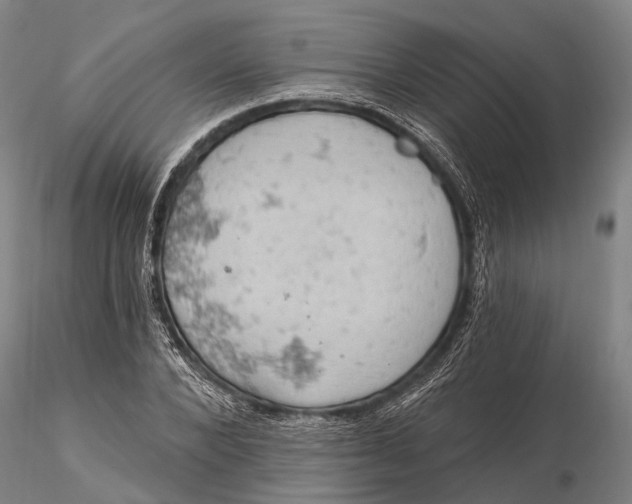 X0000115590880200912011500
