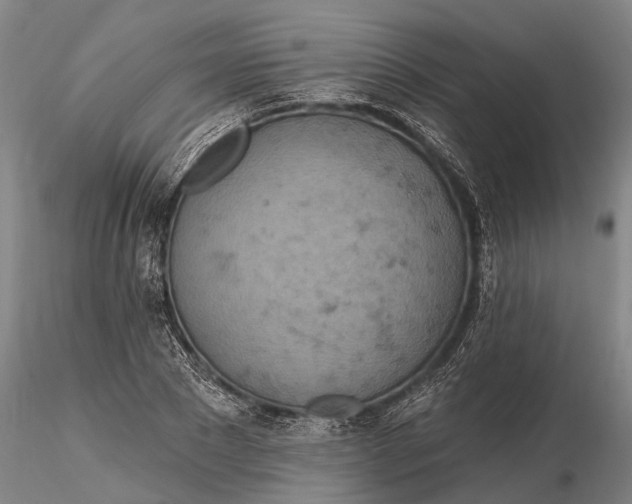 X0000115590881200912011500