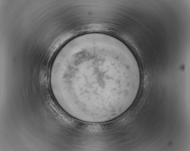 X0000115590882200912011500