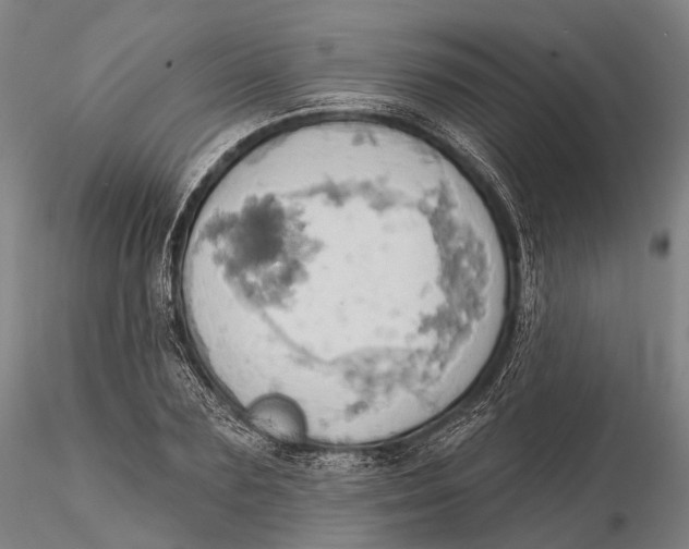 X0000115590883200912011500