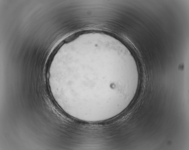 X0000115590884200912011500