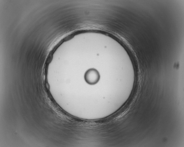 X0000115590885200912011500