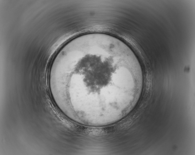 X0000115590886200912011500