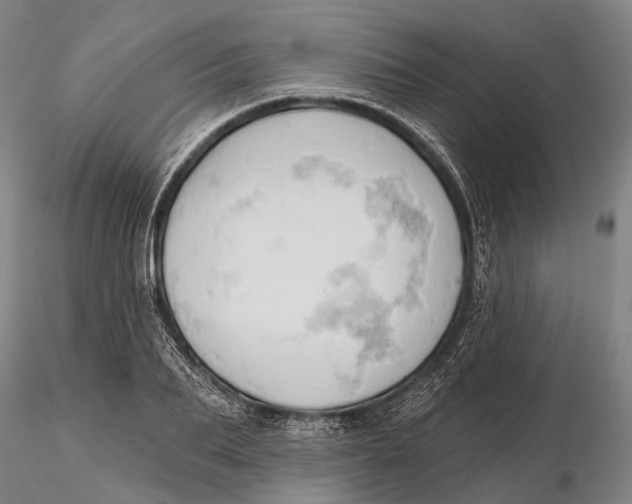 X0000115590887200912011500