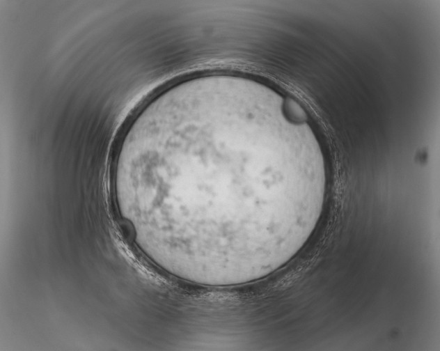 X0000115590888200912011500