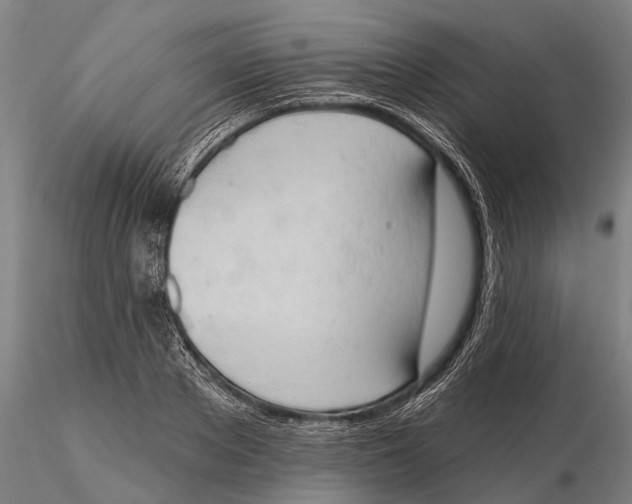 X0000115590889200912011500