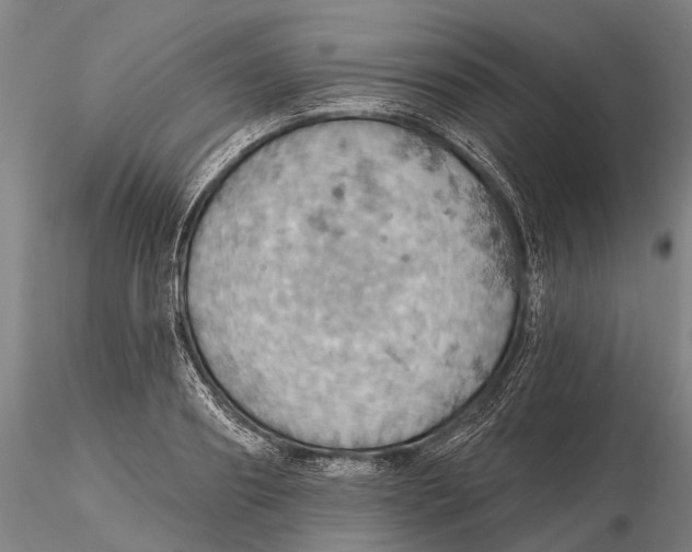 X0000115590890200912011500