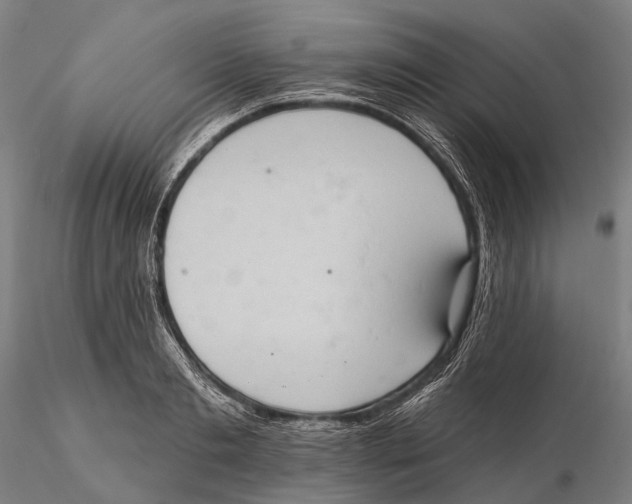 X0000115590893200912011500