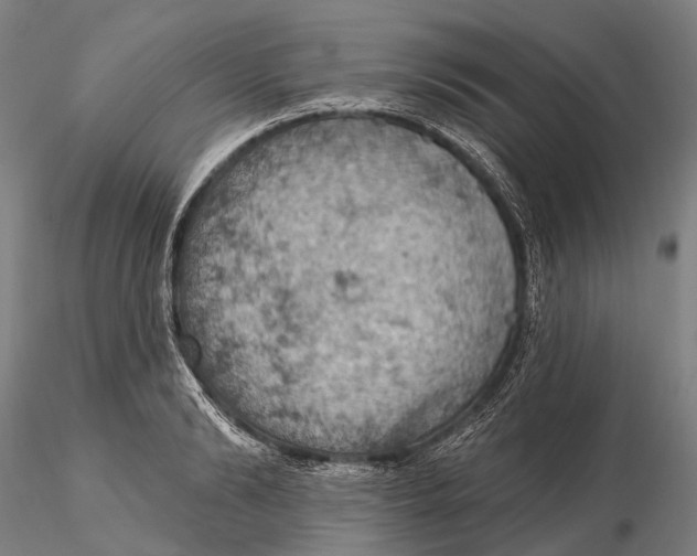X0000115590894200912011500