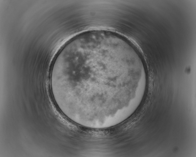 X0000115590895200912011500