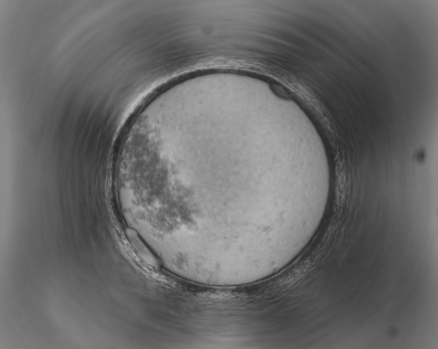 X0000115590896200912011500