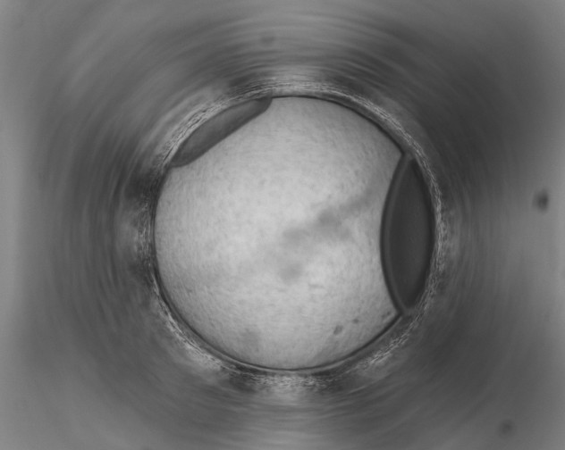 X0000115590897200912011500