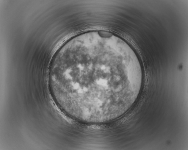 X0000115590898200912011500