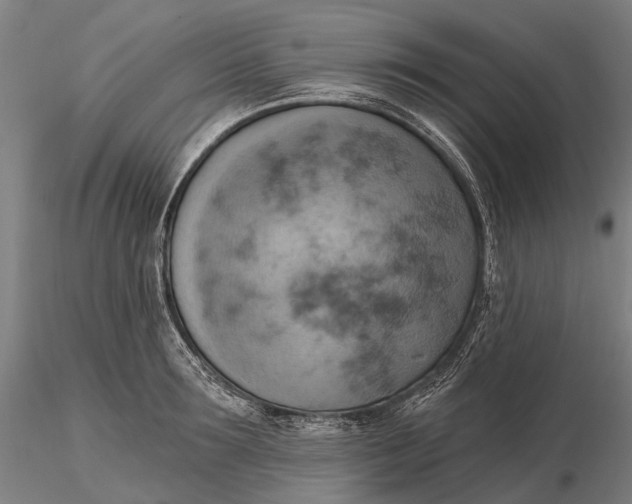X0000115590899200912011500