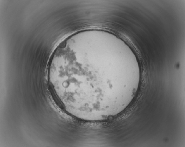 X0000115590900200912011500