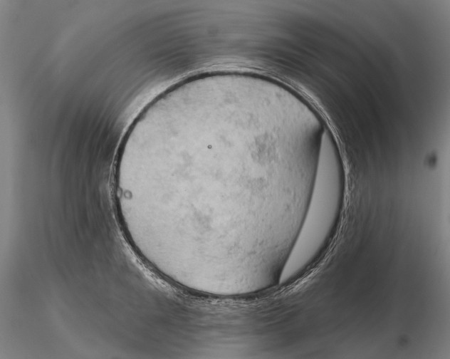 X0000115590901200912011500