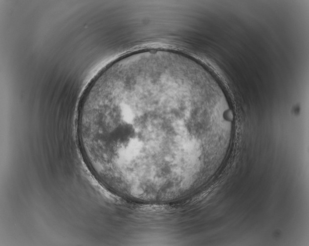X0000115590902200912011500