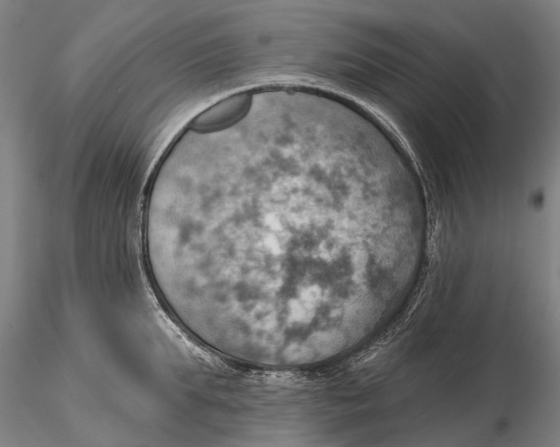X0000115590903200912011500