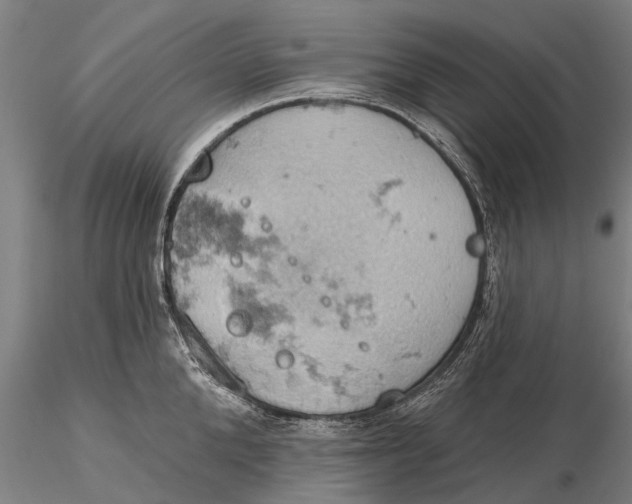 X0000115590904200912011500