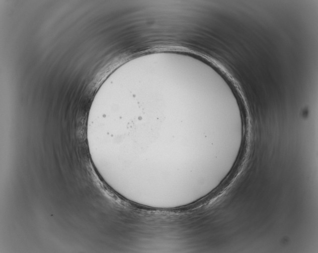 X0000115590905200912011500