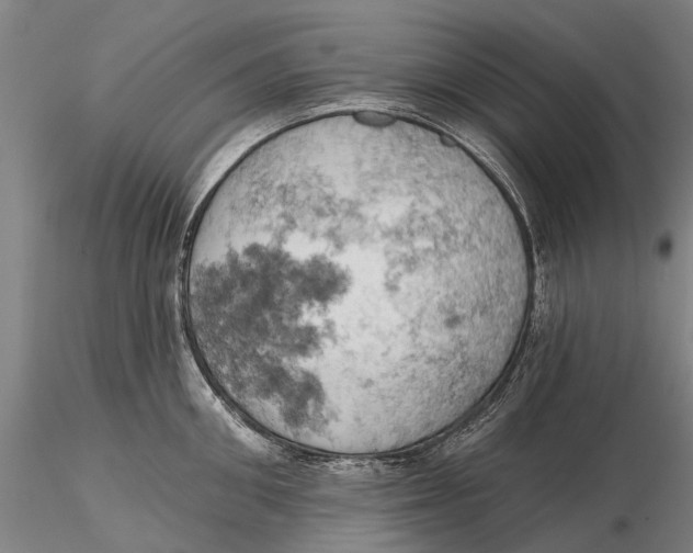 X0000115590906200912011500
