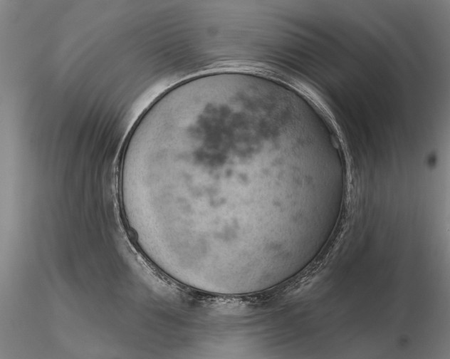 X0000115590907200912011500