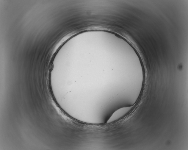 X0000115590909200912011500