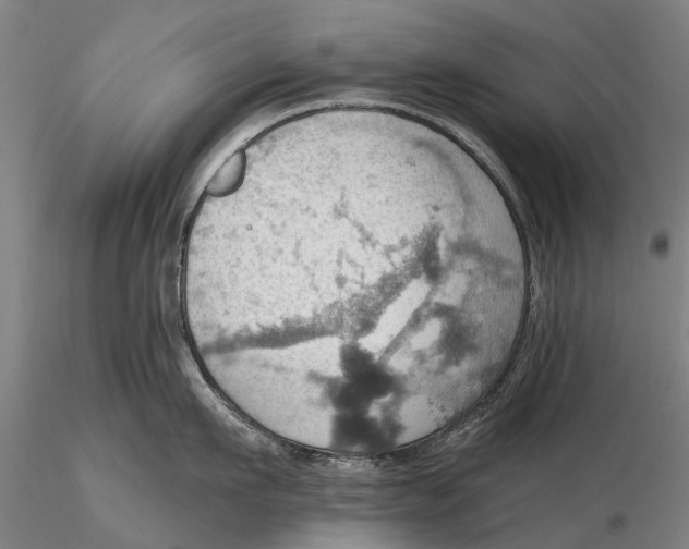 X0000115590911200912011500