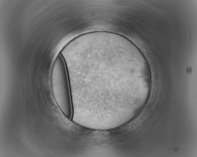 X0000115590912200912011500