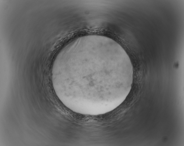 X0000115590913200912011459
