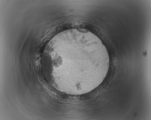 X0000115590914200912011459
