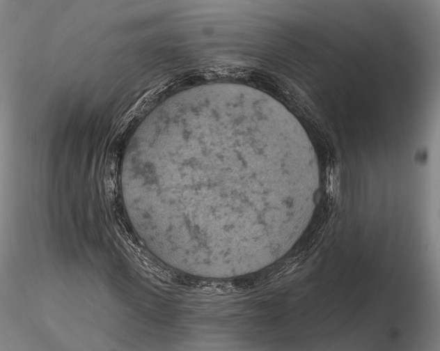 X0000115590915200912011459