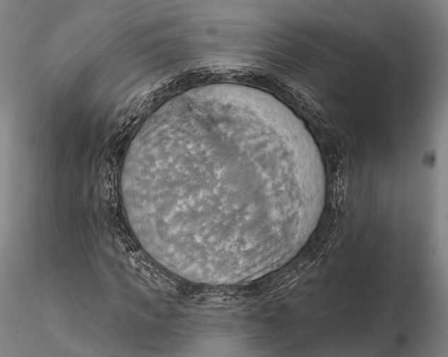 X0000115590917200912011459
