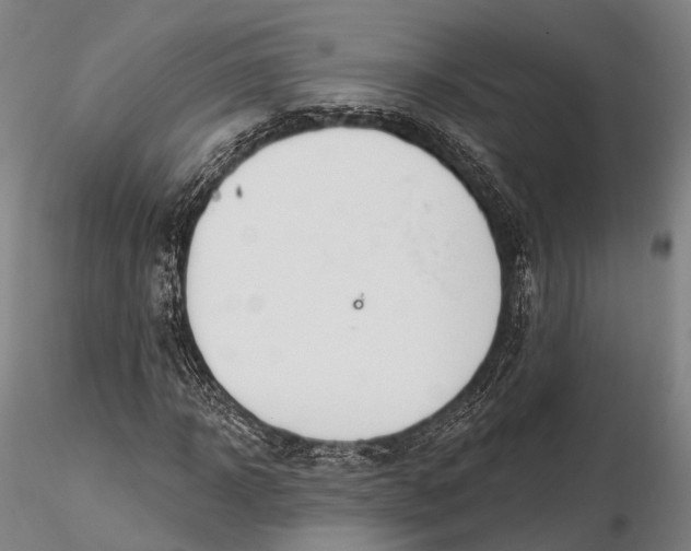 X0000115590918200912011459
