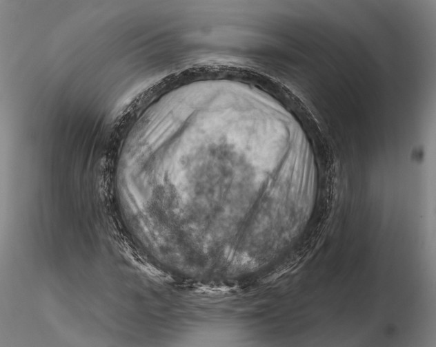 X0000115590919200912011459