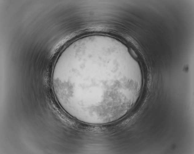 X0000115590922200912011459