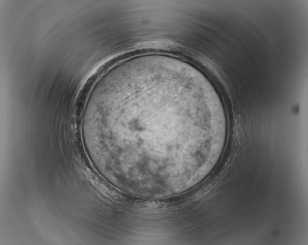 X0000115590923200912011459