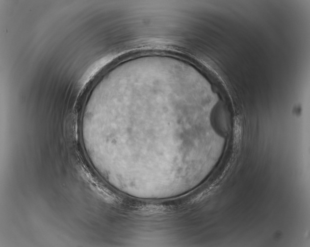 X0000115590925200912011459